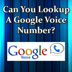 i forgot my google voice phone number